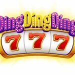 DingDingDing Shuts Down