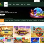 Big Winner Casino Login
