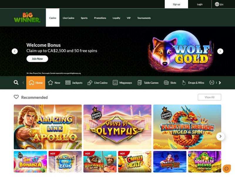 Big Winner Casino Login