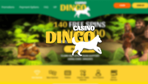 dingo casino