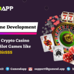 Bit555 Casino