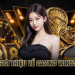 Win55 Casino