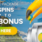 Spin Rio Casino Login