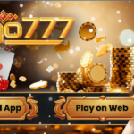 Virgo 777 Casino