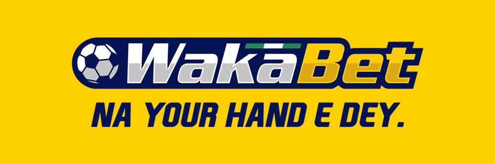 Wakabet Casino Login