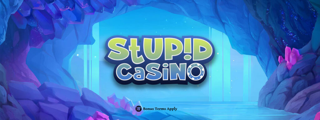 Stupid Casino